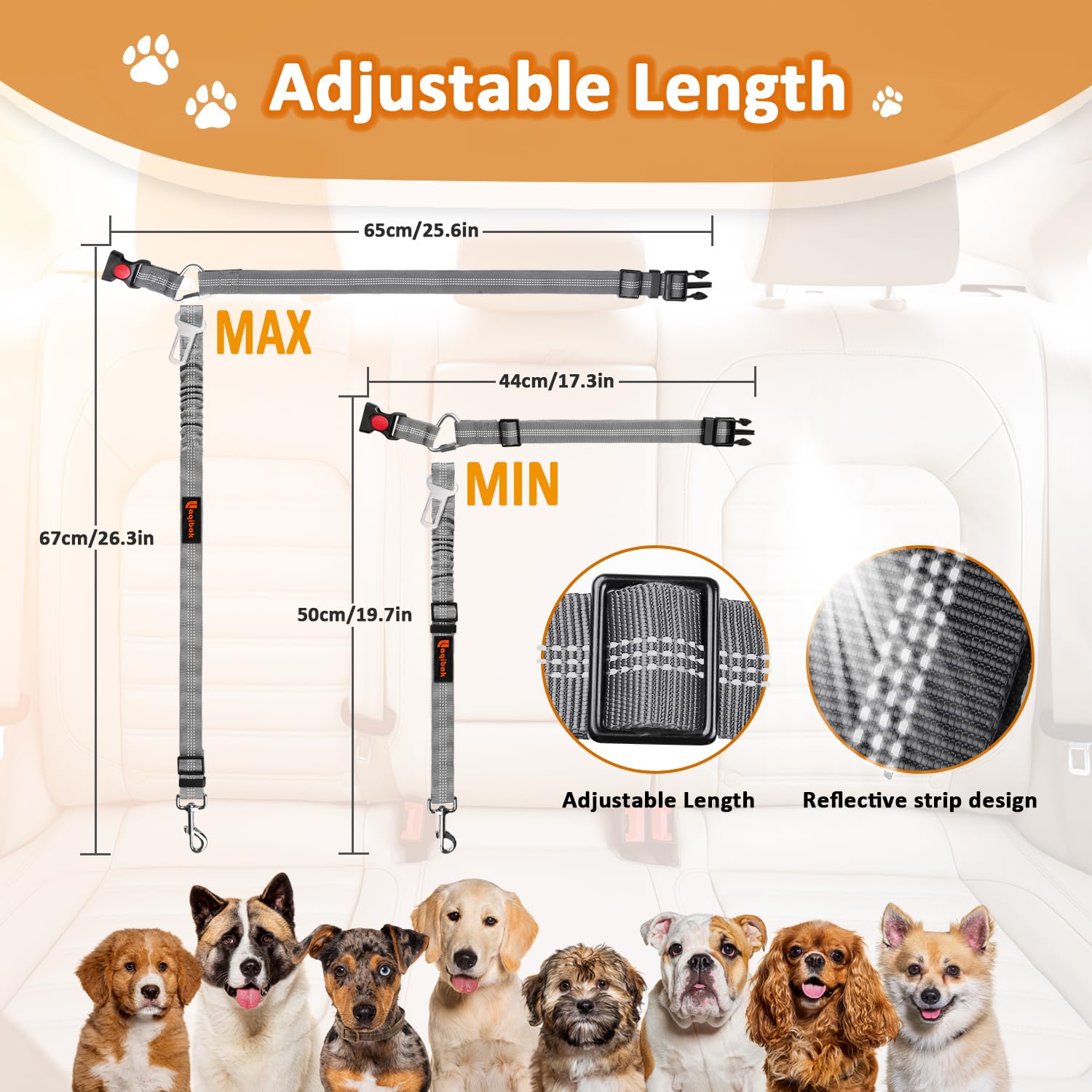 Laqibak regalo ideal para amantes de perros: seguridad en carretera.