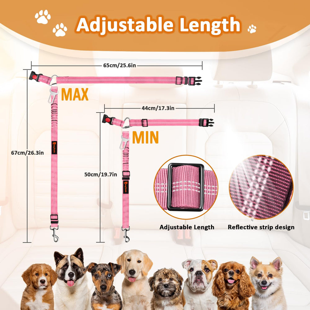 Laqibak regalo-ideal para amantes de mascotas y coches.