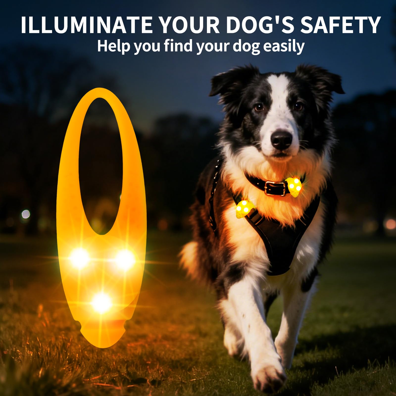 LaRoo Collar LED, foco brillante para localizar a tu mascota.