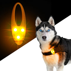 LaRoo Luces LED para perro, paseos nocturnos con alta visibilidad.