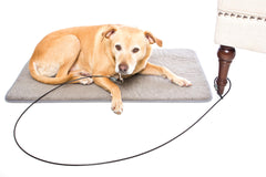 LAST LEASH garantía y durabilidad para entrenamiento diario