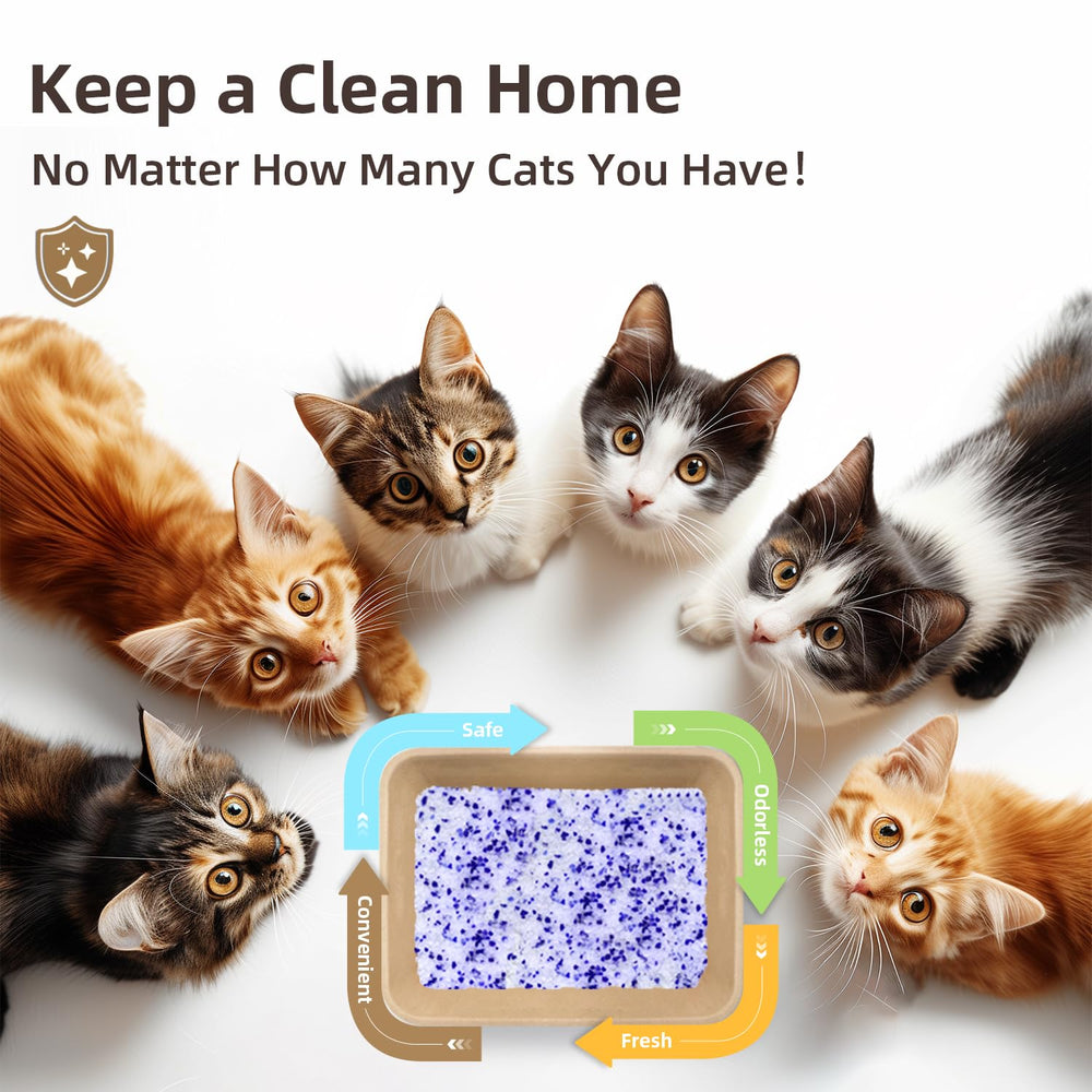 LaSyL Crystal Cat Litter ideal para hogares con varios gatos