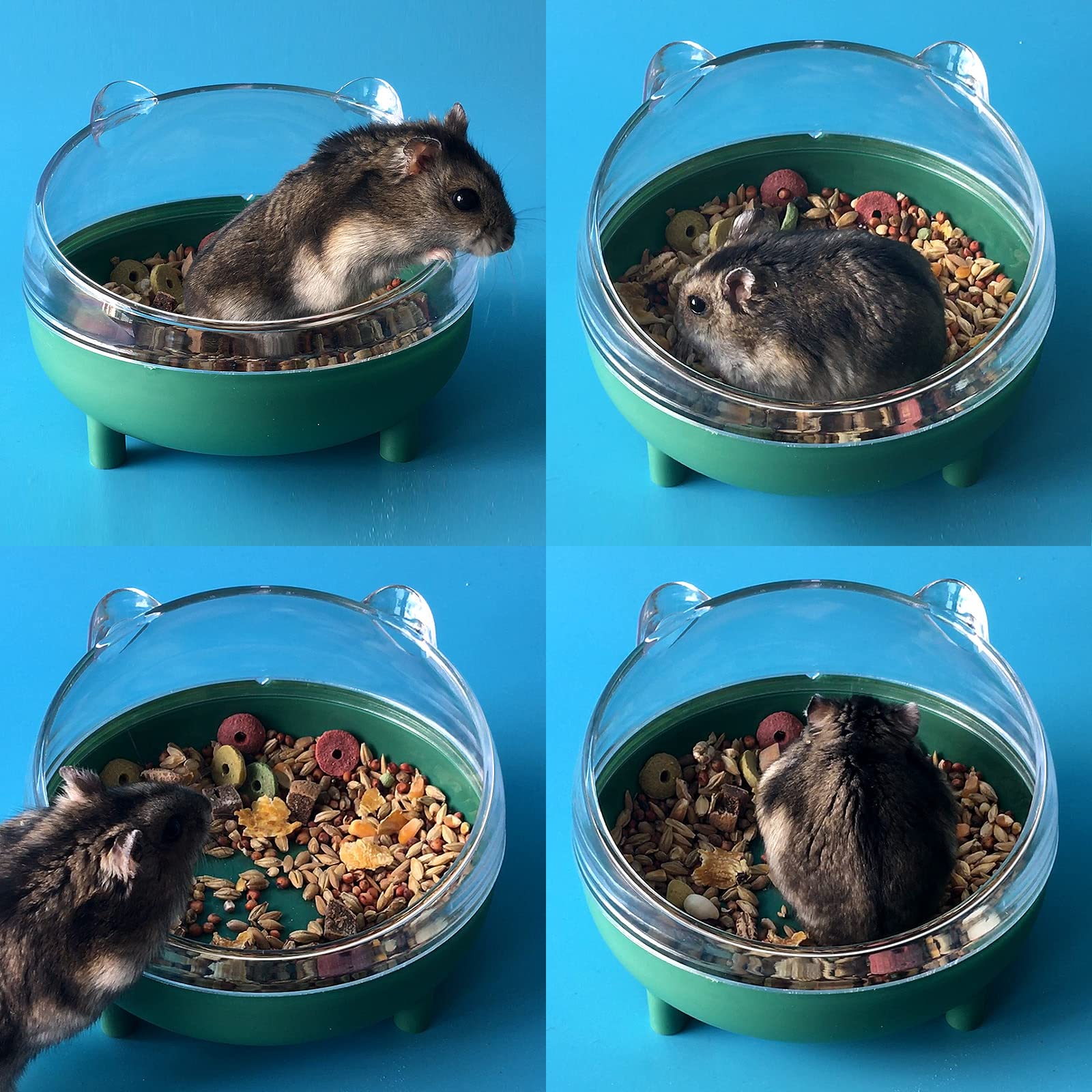 lazyyzal superficie-segura-verde: material duradero para mascotas pequeñas