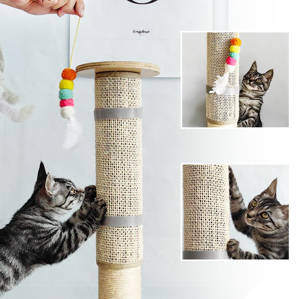 LCSICY uso diario para gatos en torres y postes.
