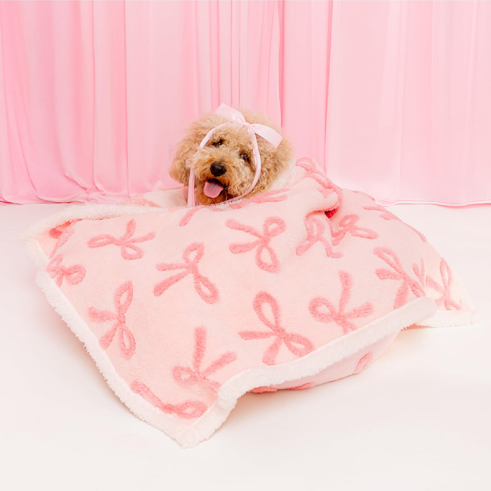 LE SURE manta impermeable para perros pequeños, protege muebles y mantiene al animal seco y cómodo.