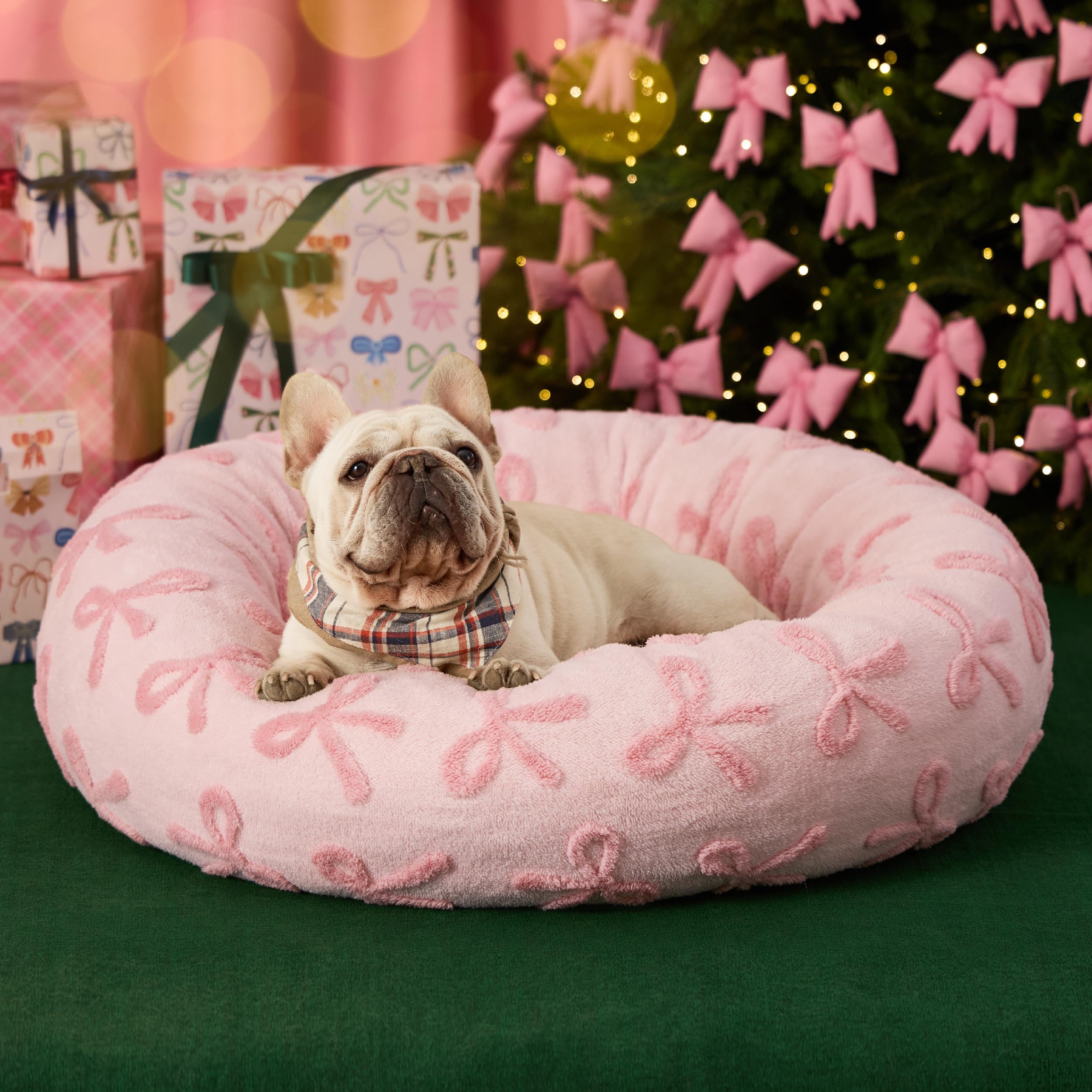 Ideal como regalo para mascotas, tierno y práctico.