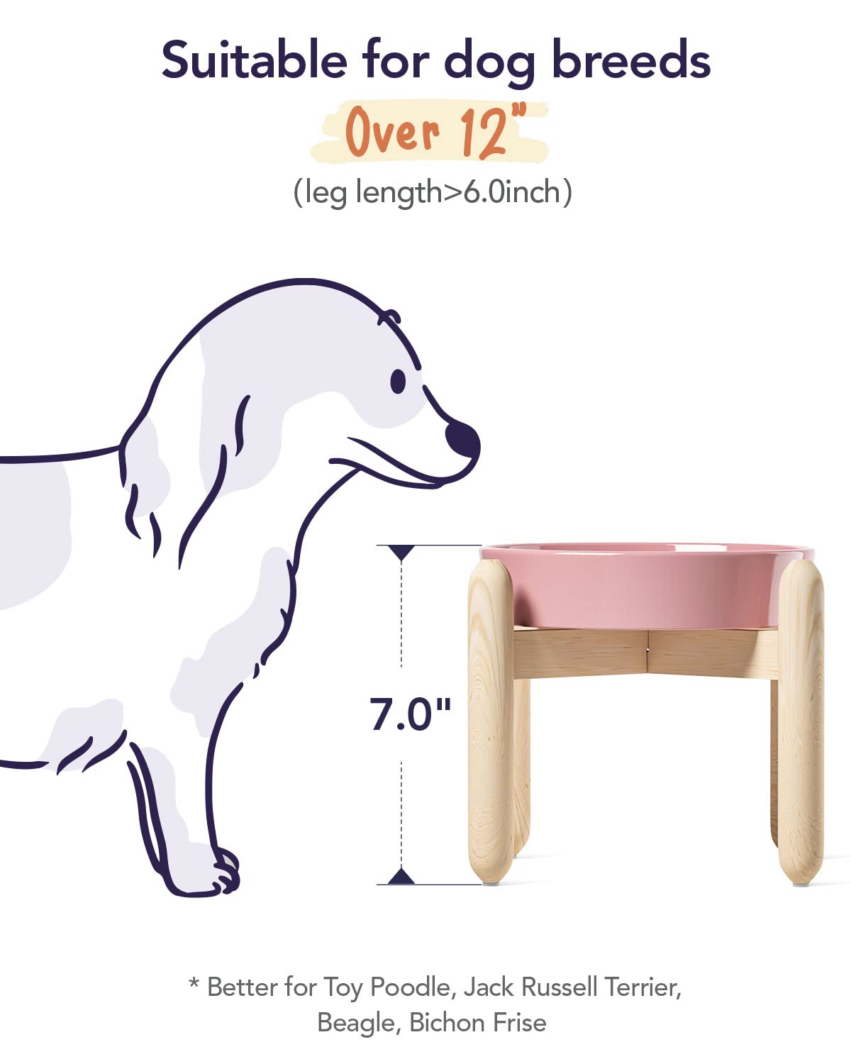 LE TAUCI cerámico capacidad 1-5 tazas: porciones diarias adecuadas para mascotas