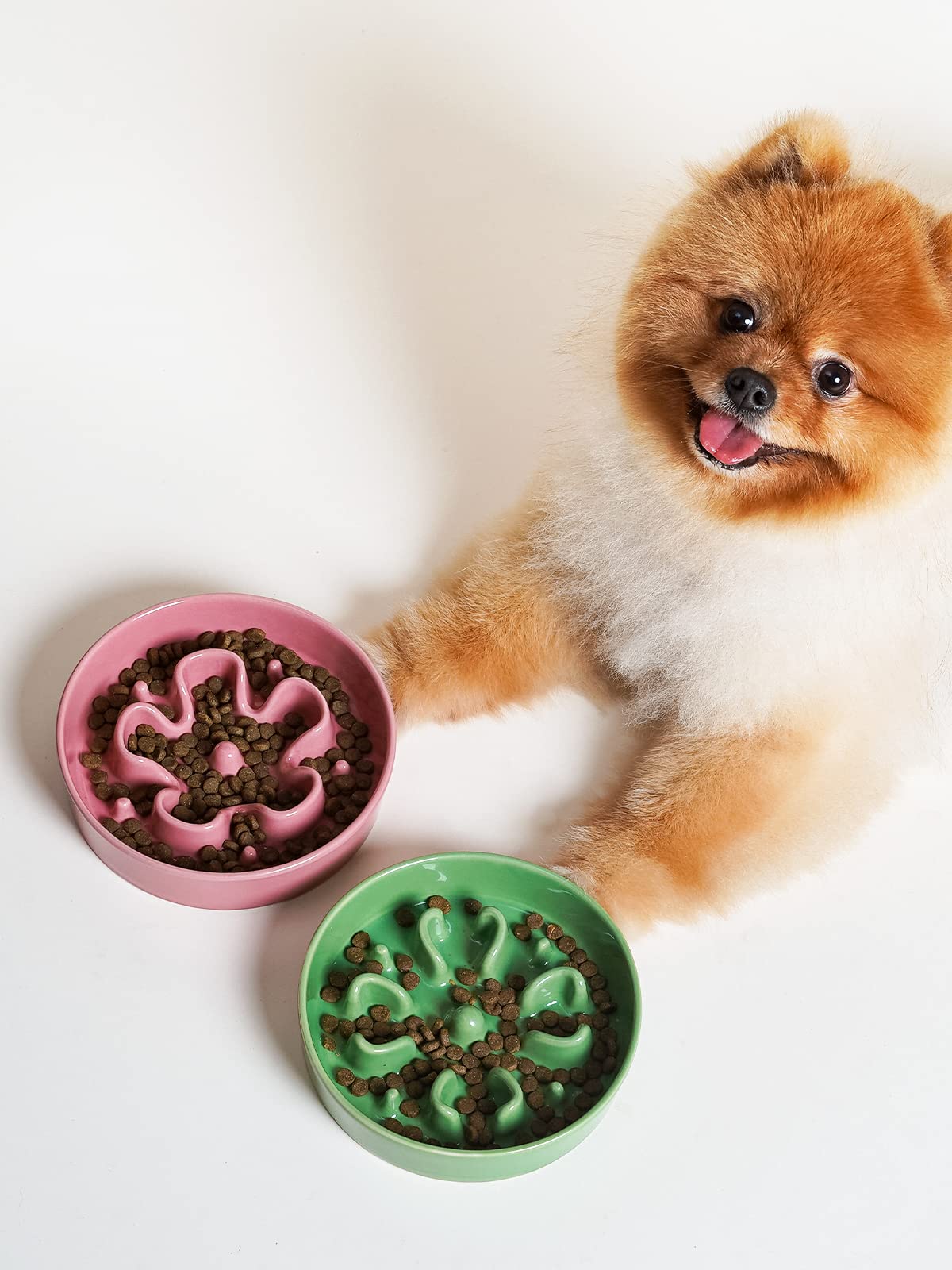 Tazón LE TAUCI para perros y gatos pequeños en verde trébol.
