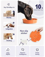LE TAUCI cerámica premium, duradera y estable para perros pequeños y medianos.