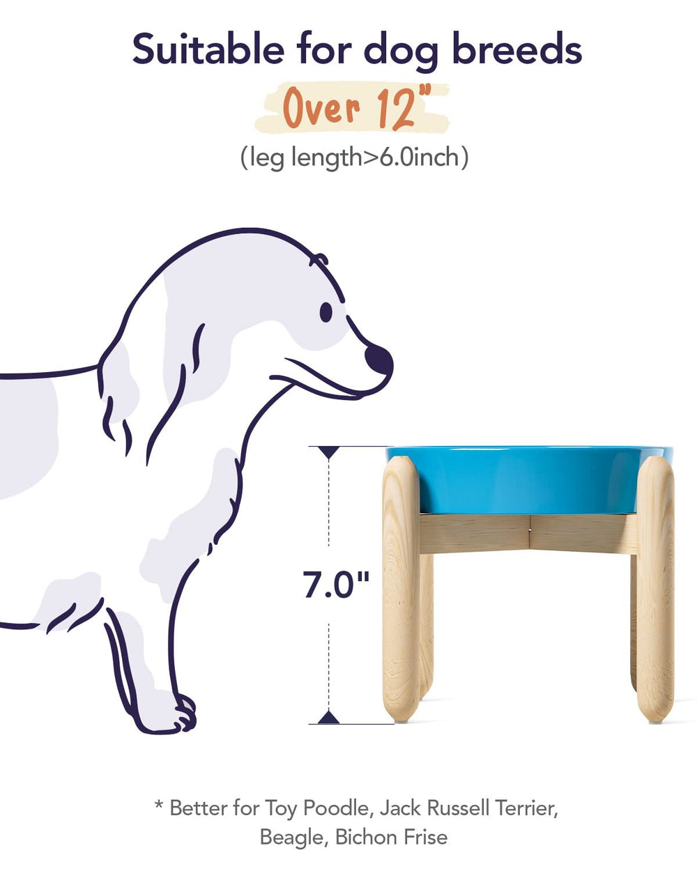 LE TAUCI color-vortex-azul, añade estilo al comedor de tu mascota.