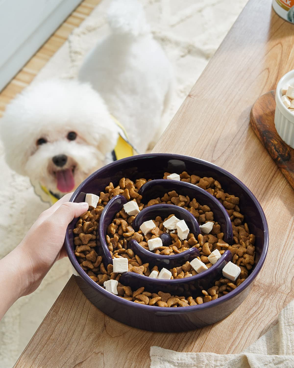LE TAUCI cuenco cerámico durable y estable para perros activos