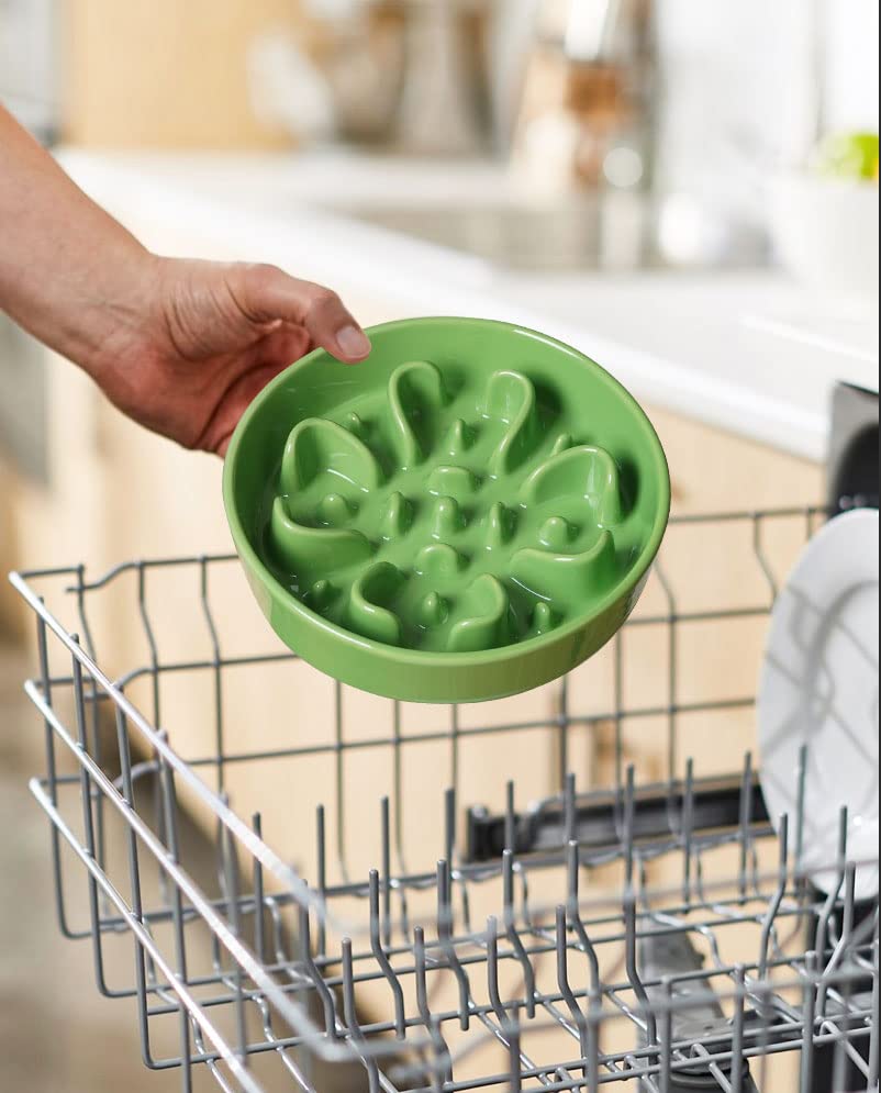 LE TAUCI compatible con comida seca y húmeda para perros