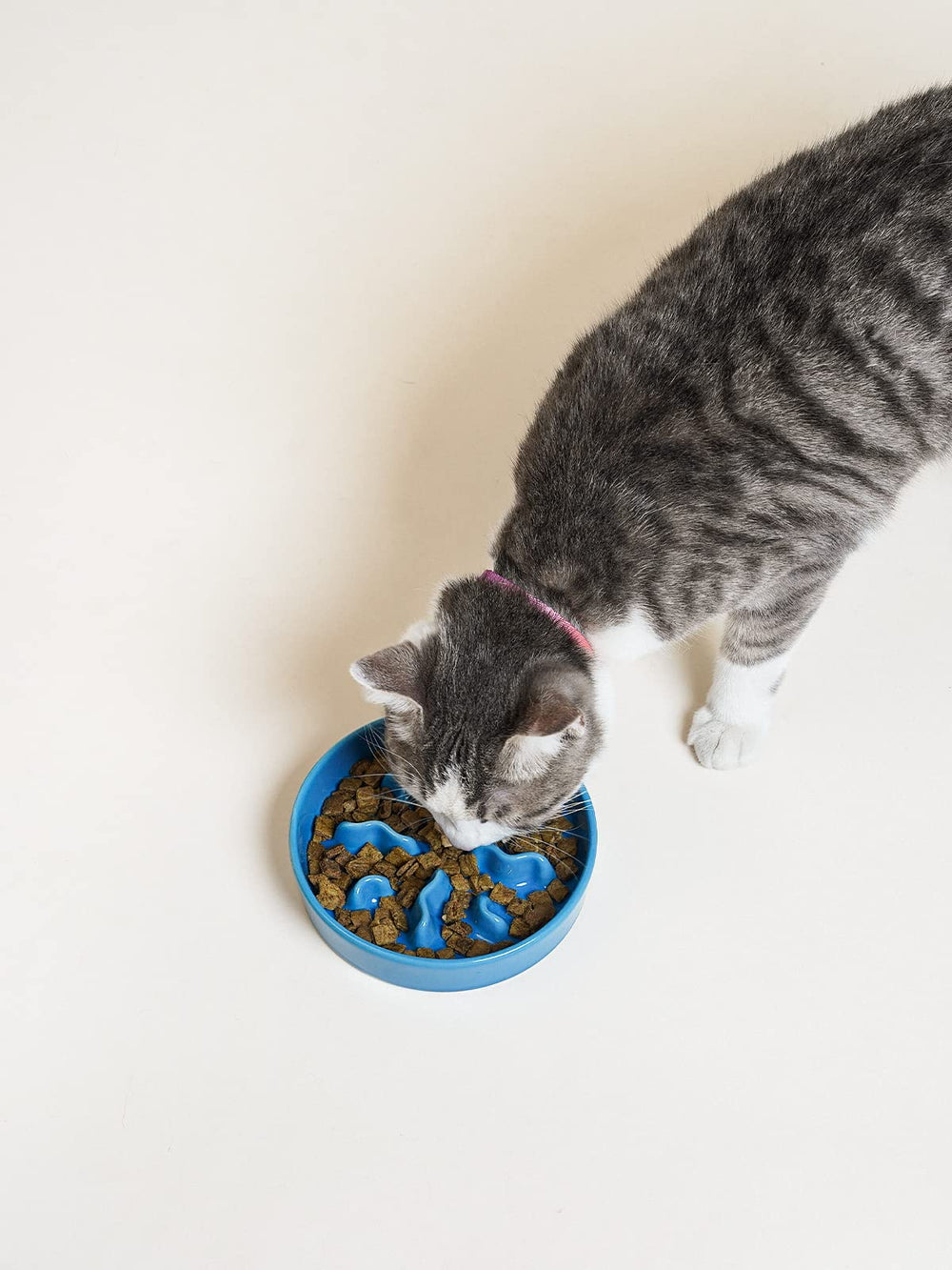 LE TAUCI PET porciones de 0,5 tazas, ideal para mascotas pequeñas.