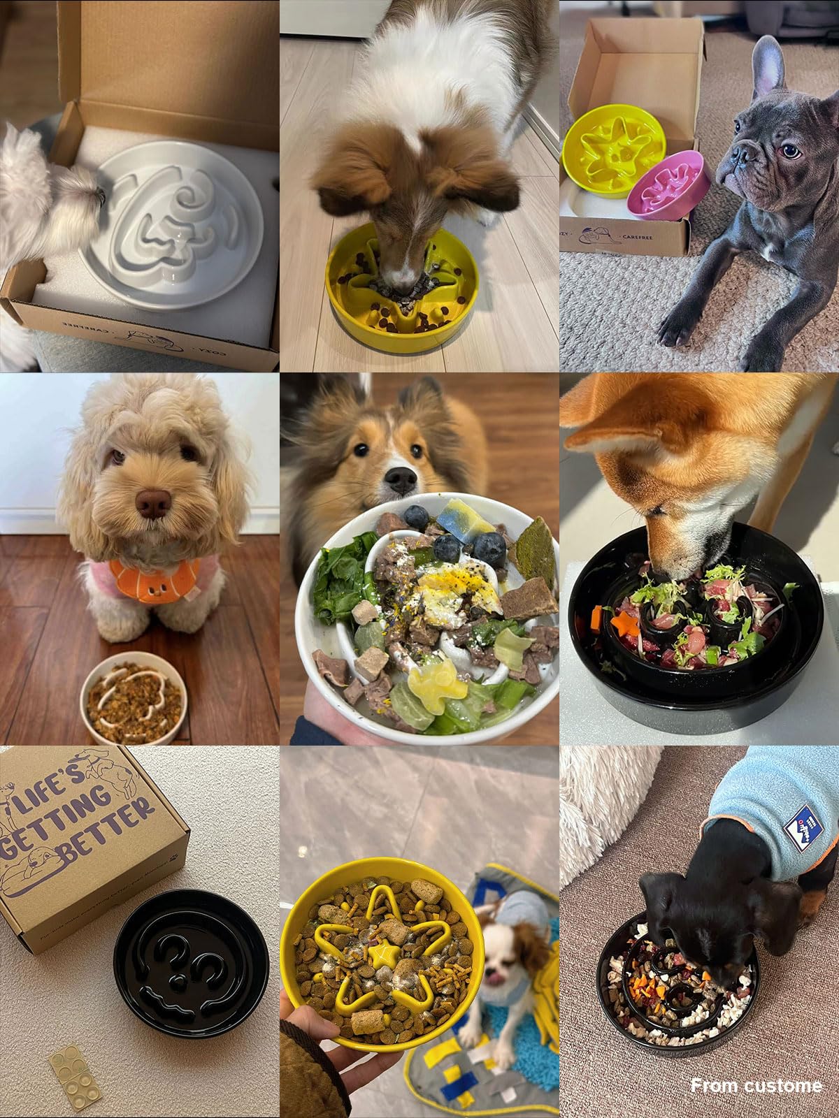 LE TAUCI tazón cerámico rompecabezas para perros, estimula la ingesta mental durante comidas.