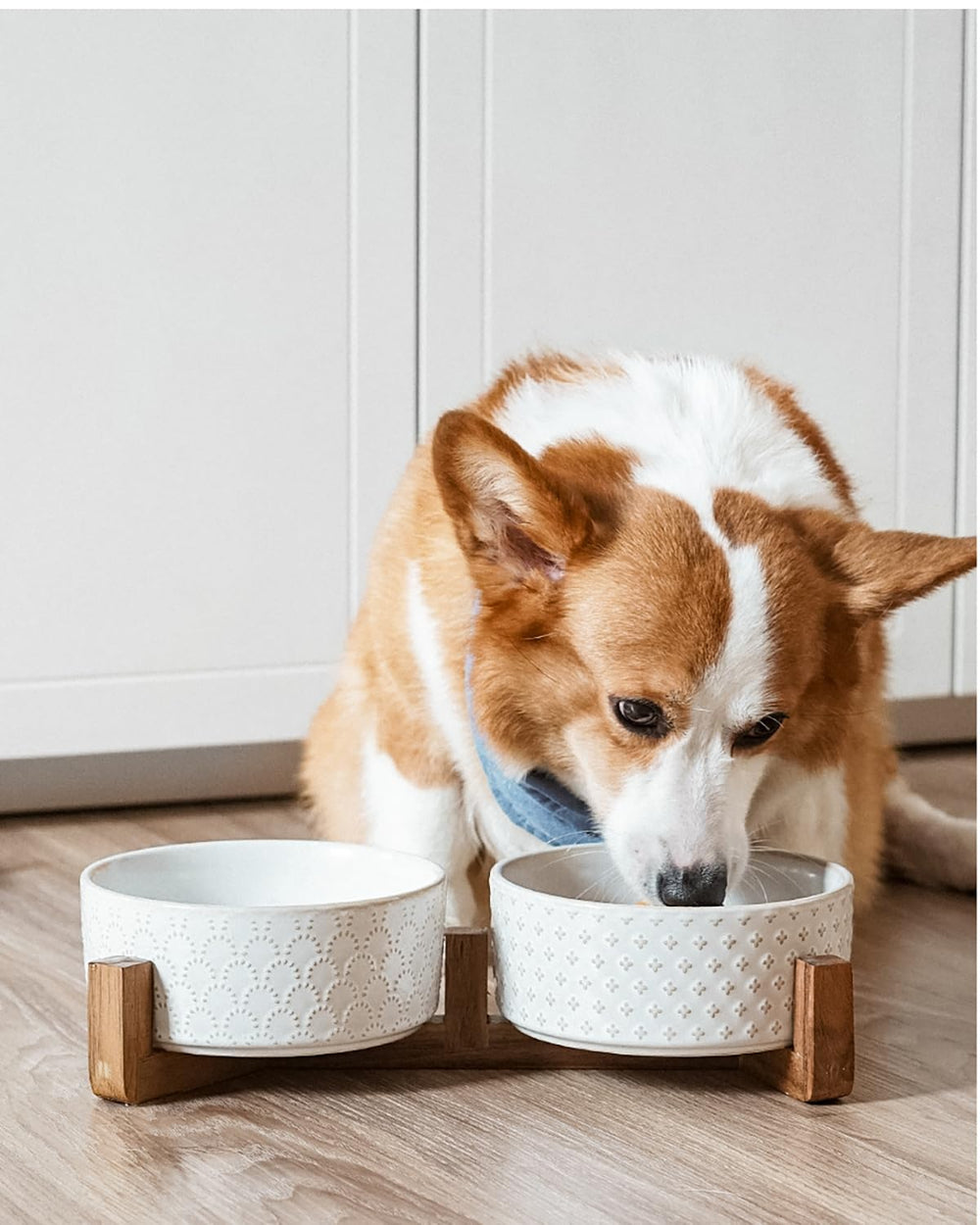 LE TAUCI capacidad de 1,5 tazas por cuenco para porciones