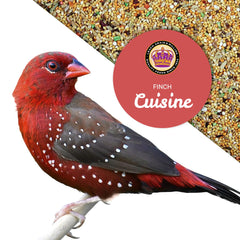 LEACH GRAIN & MILLING CO. Finch Cuisine apta para jaulas e exteriores