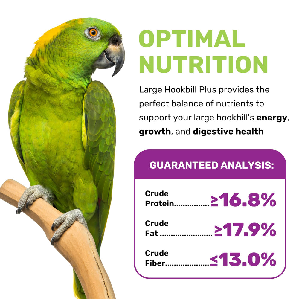LEACH GRAIN & MILLING CO Mezcla de semillas para ave de pico grande con beneficios nutritivos.