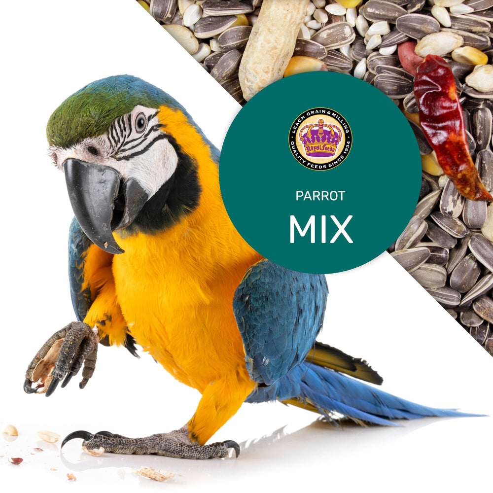 LEACH Parrot Mix - ingredientes para plumas brillantes y salud del ave