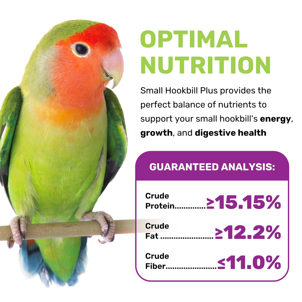 LEACH Small Hookbill Plus, nutrientes esenciales, vitaminas para apoyo diario y bienestar de aves
