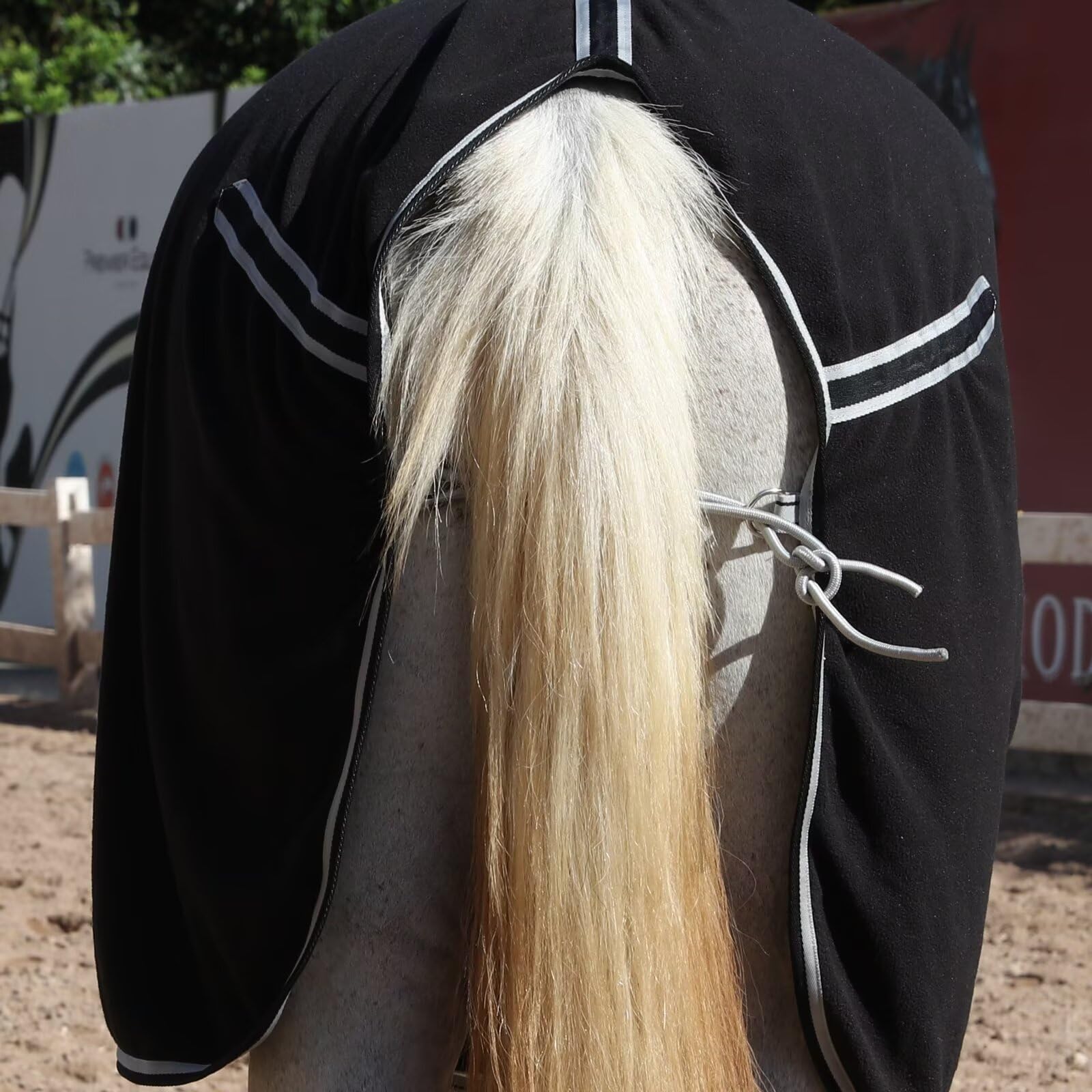 LEAFOREST manta para caballo en pasto, uso diario al aire libre.