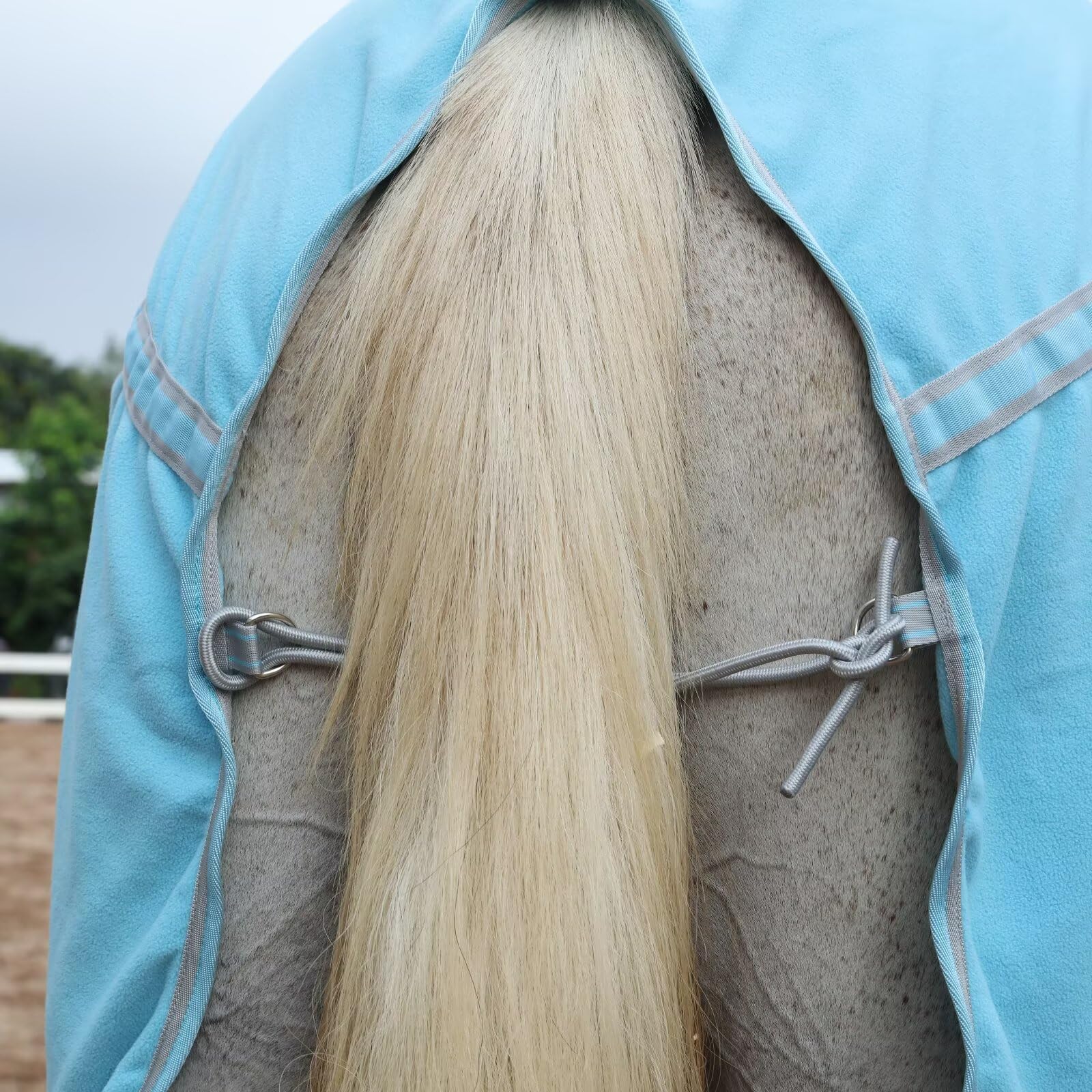 Leaeforest manta polar para caballo plegable, fácil de guardar.