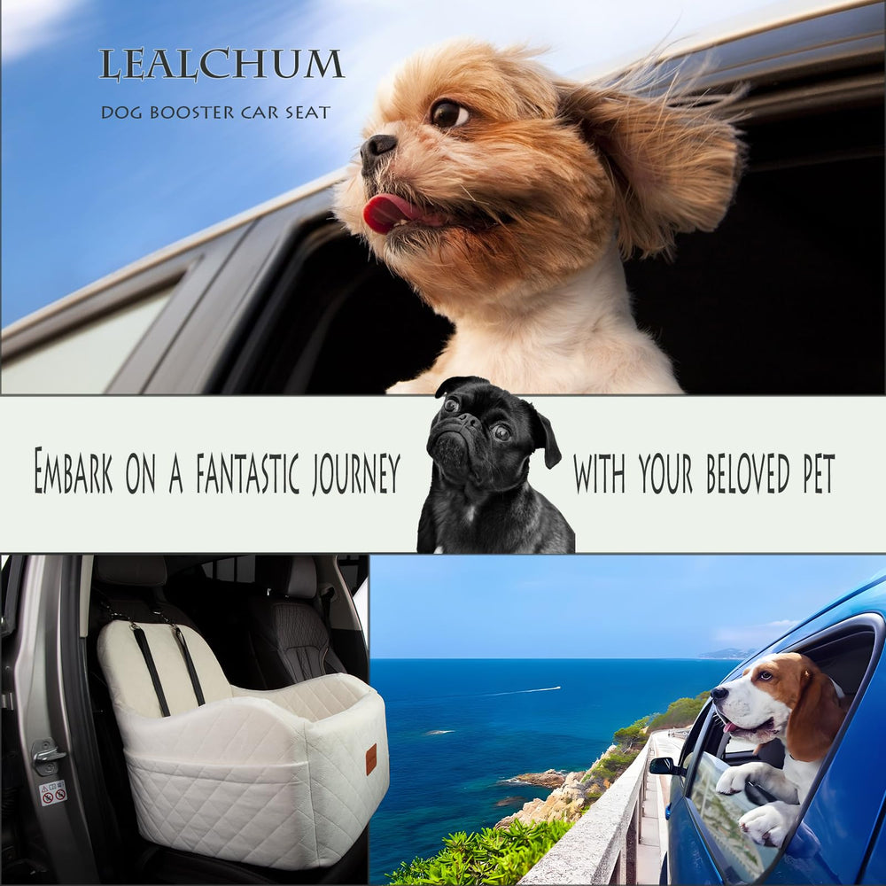 Lealchum: asiento-coche-perro-vista-exterior mejora la experiencia de viaje.