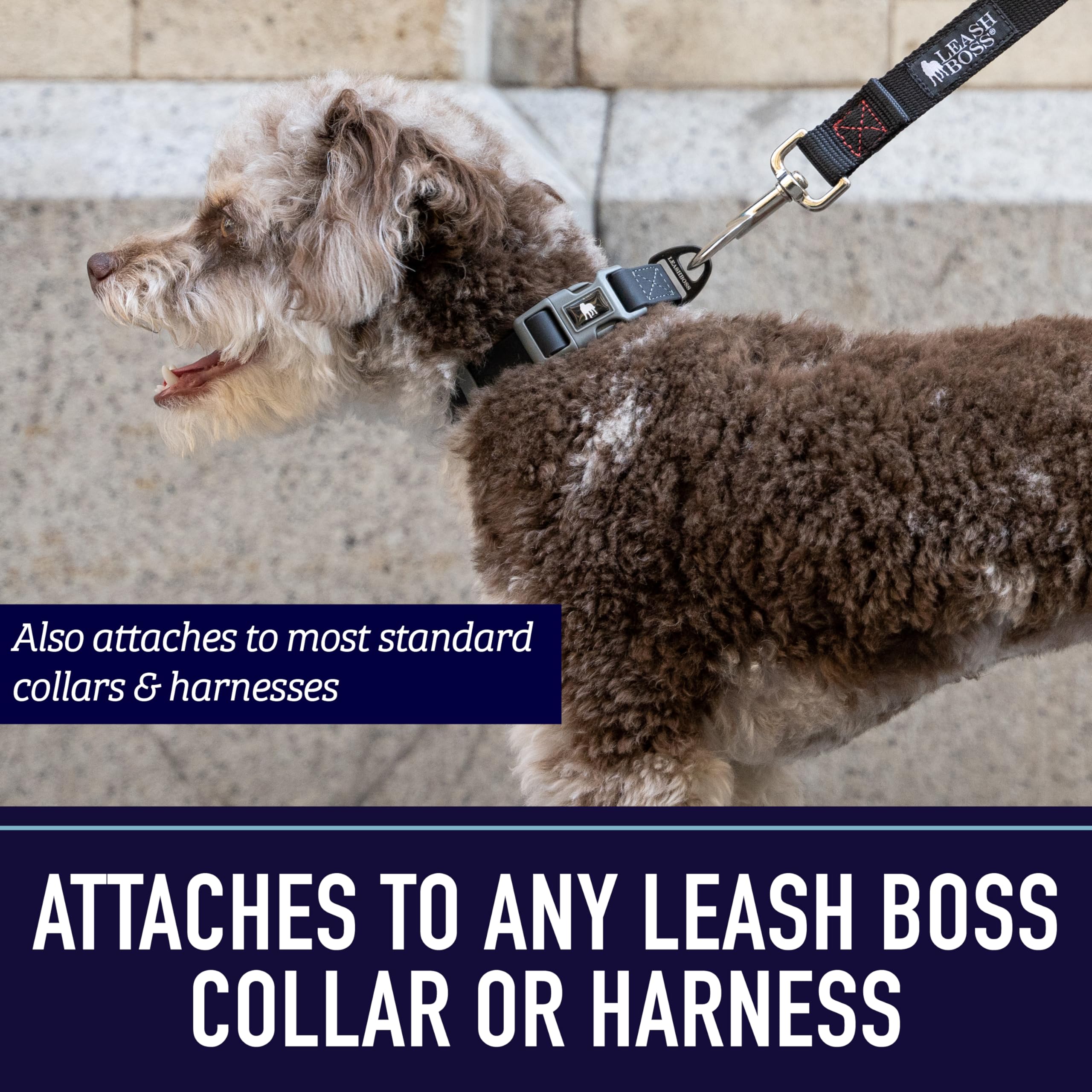 Leash Boss garantía de 5 años para tranquilidad a largo plazo