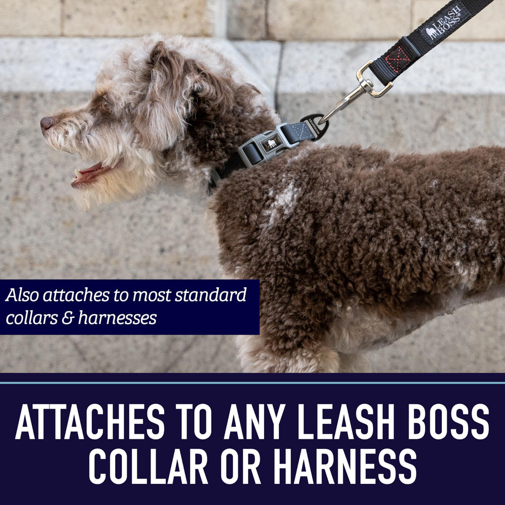 Leash Boss garantía de 5 años para tranquilidad a largo plazo