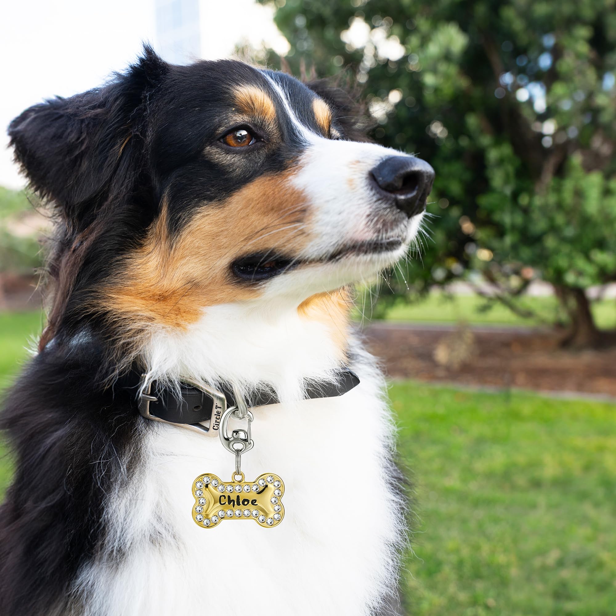 Leash King ajuste universal para collares hasta 11/64 pulgadas.