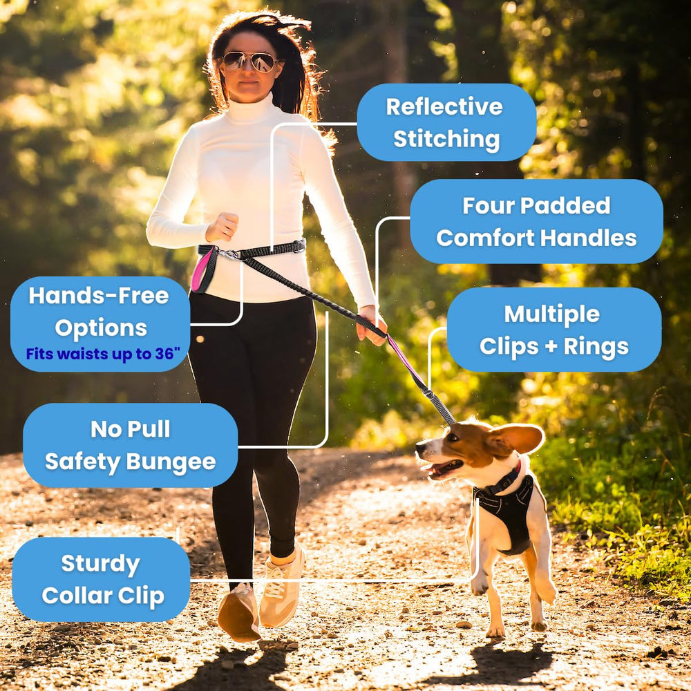 Leashrr 2.0: amortiguador elástico que absorbe impactos durante paseos.