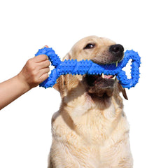 LECHONG hueso mordedor de 13 pulgadas, duradero para mordidas fuertes y juego activo.