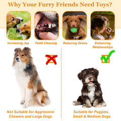 LECHONG peluche chirriante para cachorro, ideal para abrazos y juegos suaves.