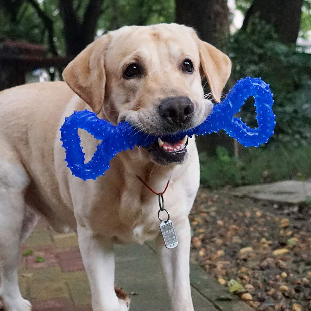 LECHONG uso diario para perros grandes, promueve juego seguro y ocupación en casa.