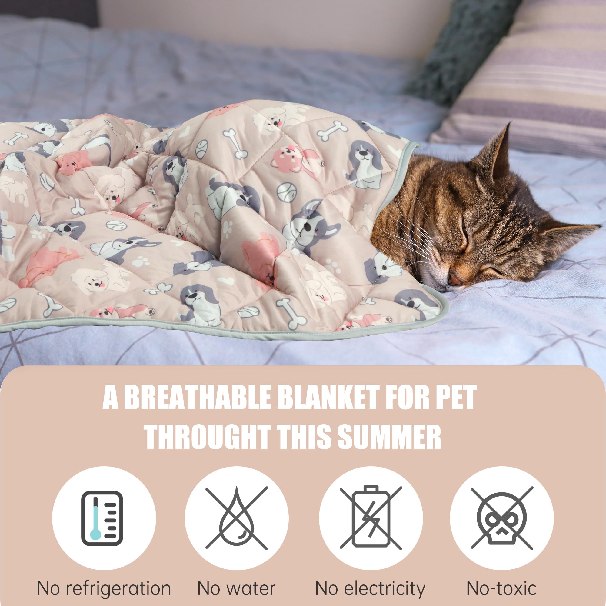 Leekalos diferentes tallas para perros y gatos: se adapta a distintos tamaños.