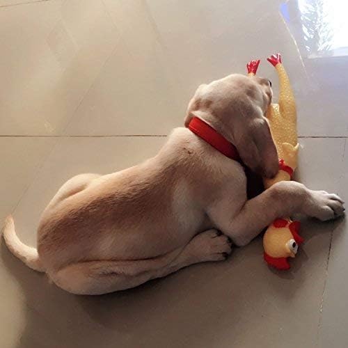 LEGEND SANDY pollo chillón amarillo, regalo novedoso para perros amantes de juguetes.