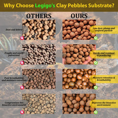 Legigo LECA como sustrato natural para plantas y reptiles