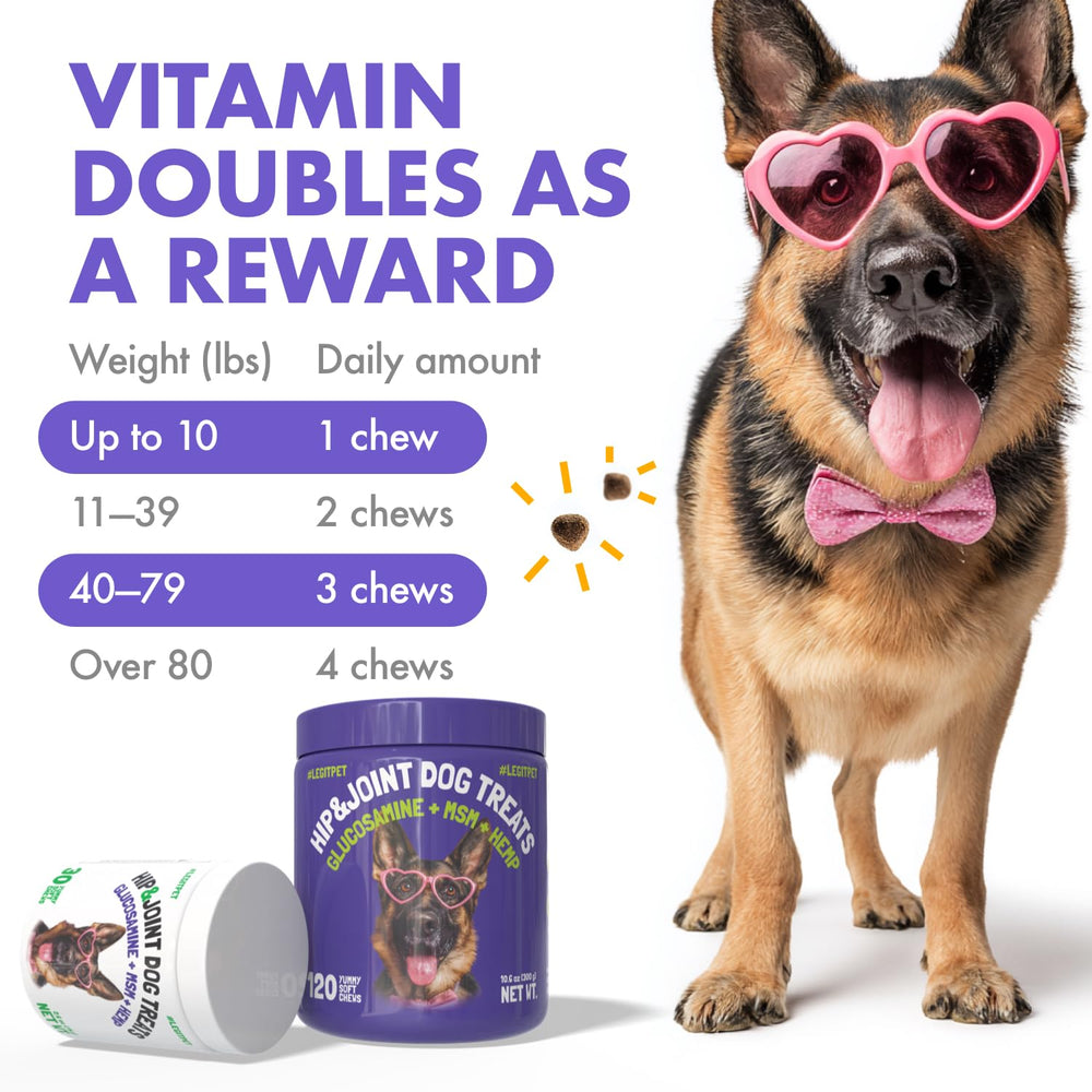 LegitPet aceite cañamo usa: fuente natural de bienestar para perros.