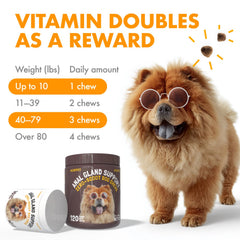 LEGITPET Anal Gland Relief Chews, en plato, snack agradable para el perro