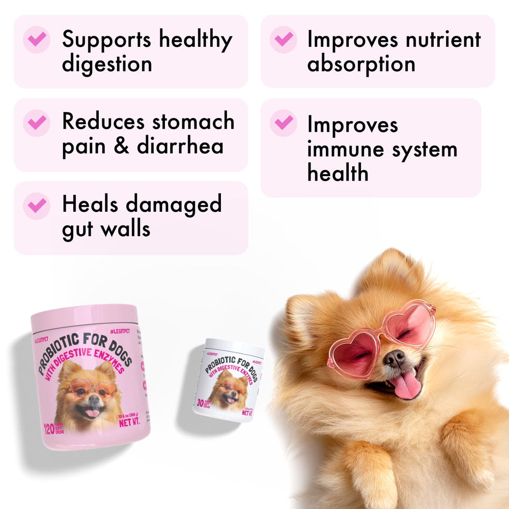 LEGITPET Probiotics para perros: prebióticos para flora intestinal equilibrada