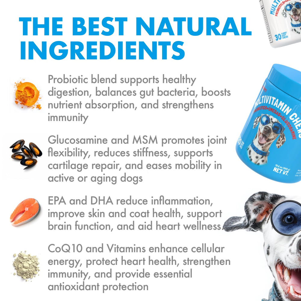 LEGITPET vitaminas diarias para perros, apoyo general a sistemas vitales.