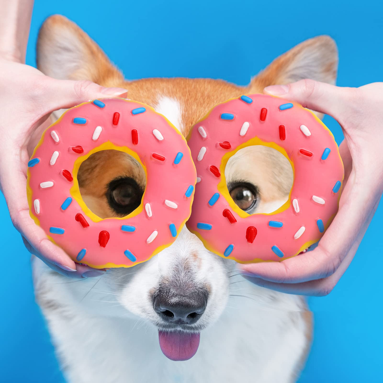 Leitee donut mordida duradera: caucho resistente para perros activos