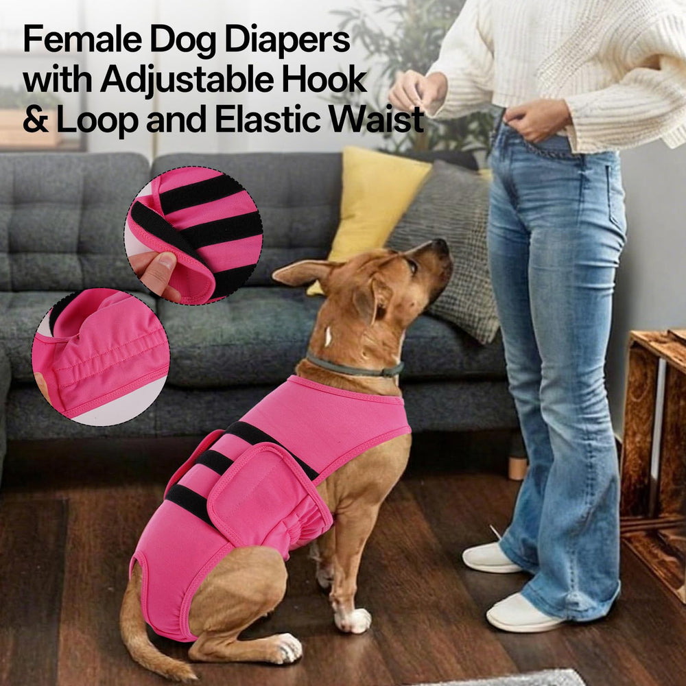 LeLePet pañales ecológicos reutilizables para mascotas
