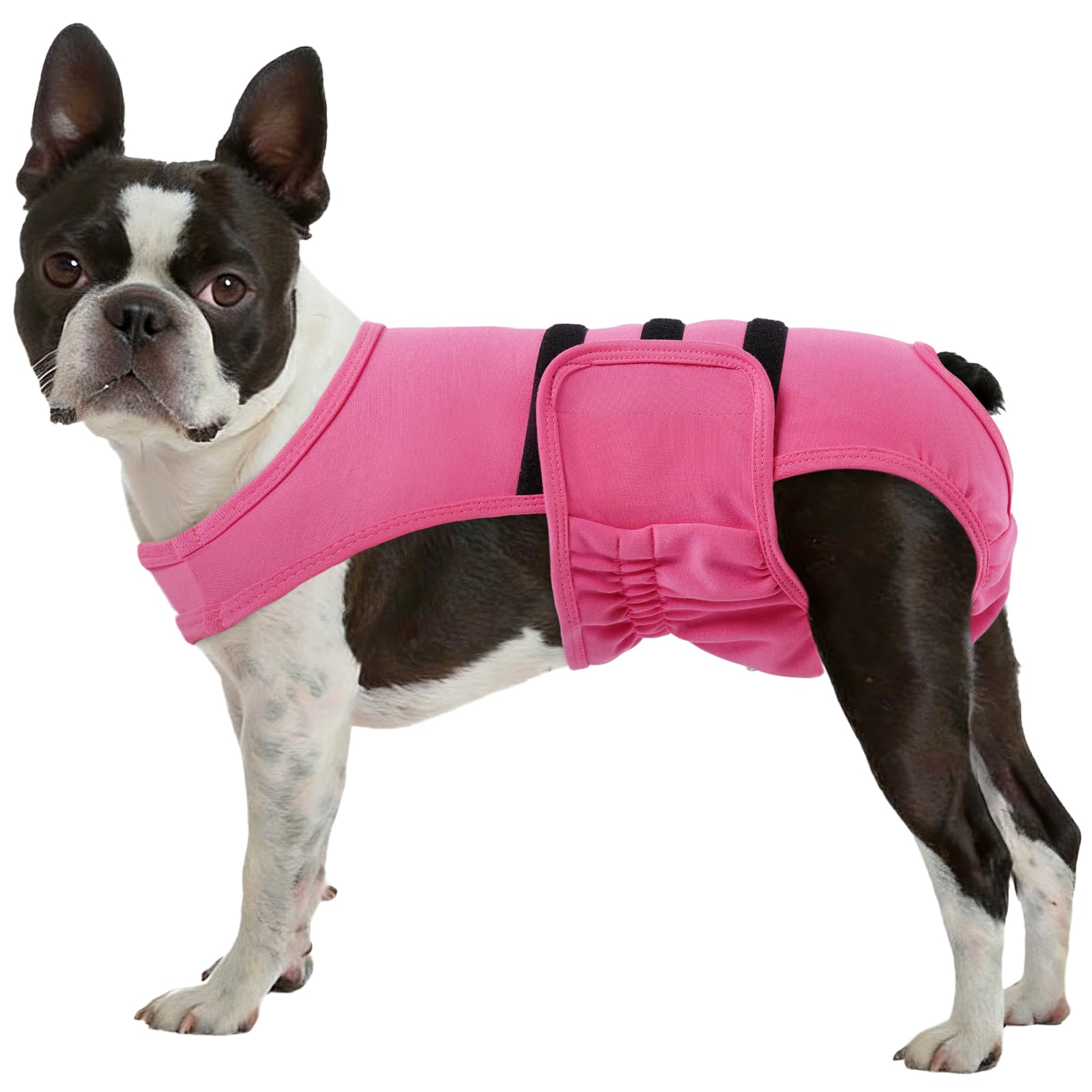 Pañales LeLePet para perros femeninos con tirantes ajustables, cómodo y estable.