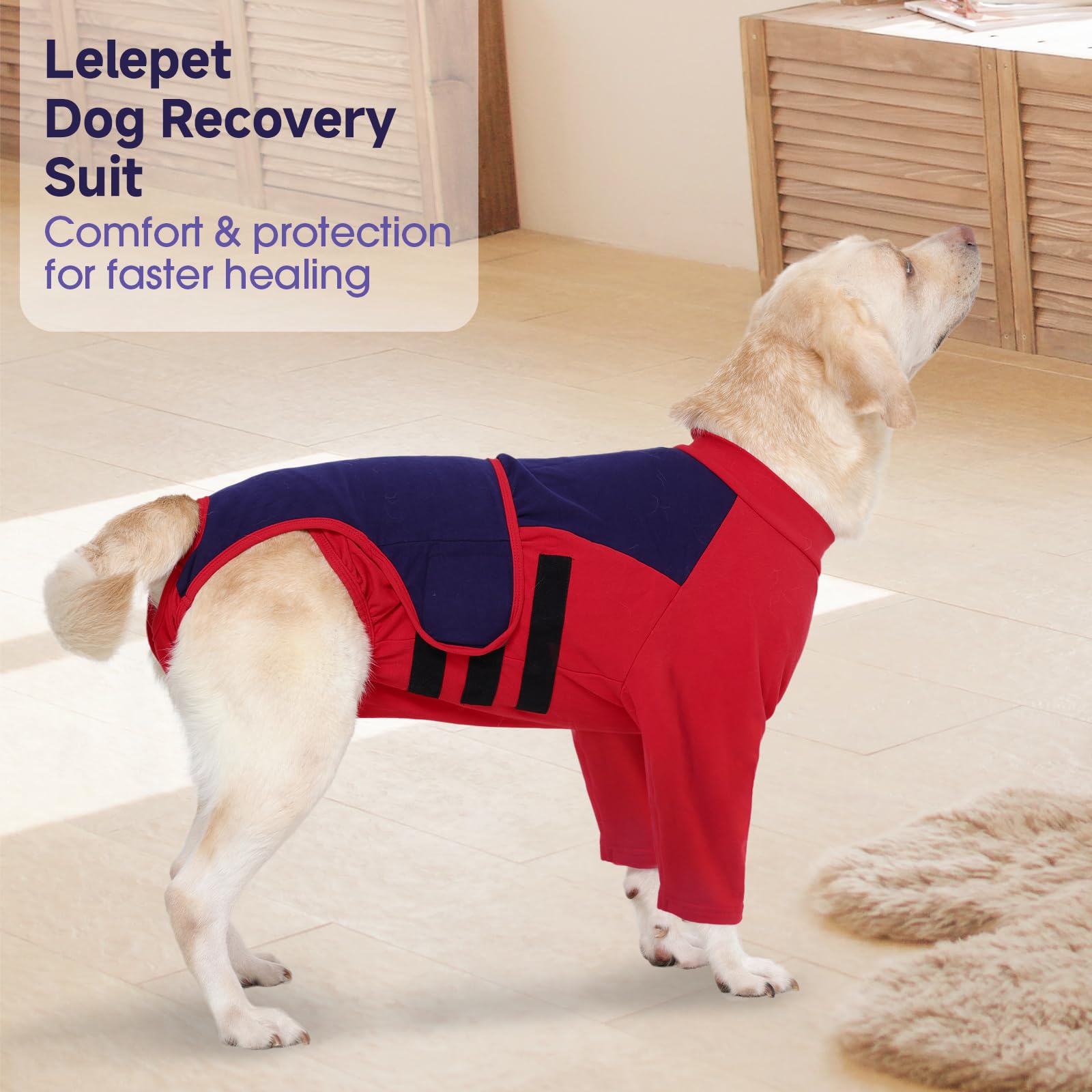 LeLePet Recovery Suit disponible en 7 tallas para un ajuste seguro