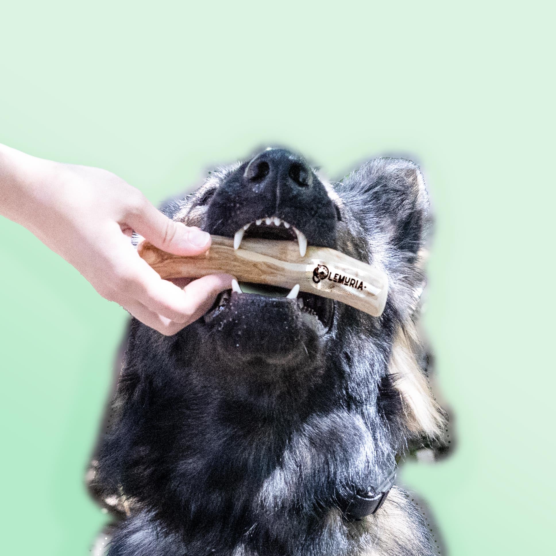 lemuria cuidado dental natural mordedor de madera para perro grande