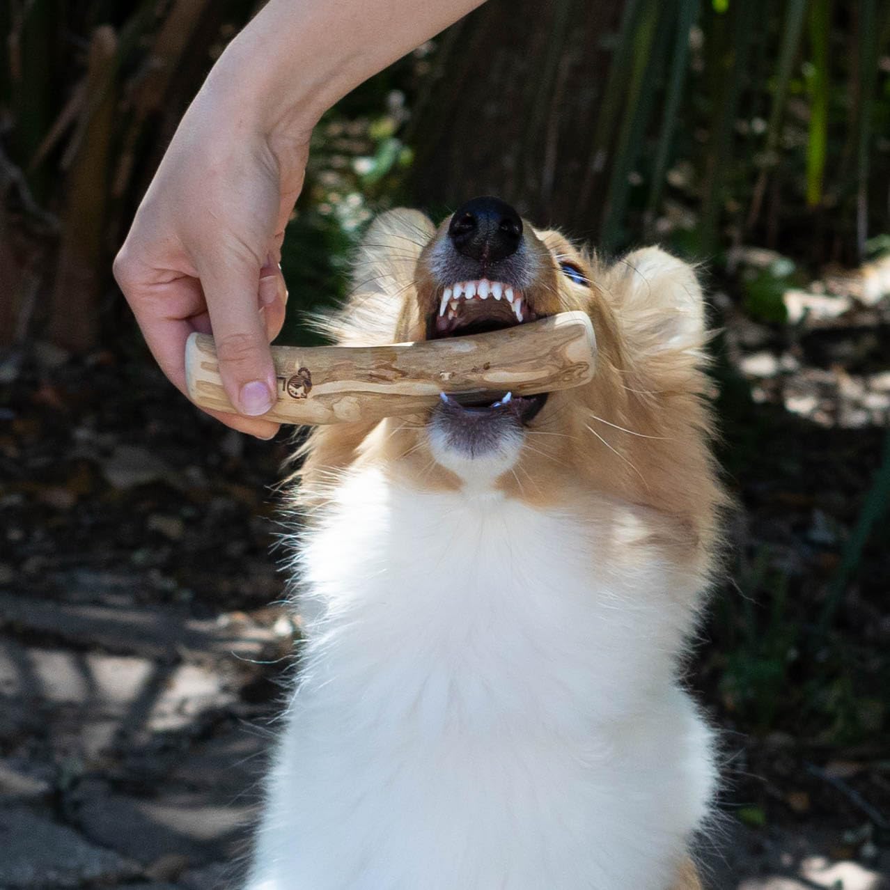 lemuria juguete alivio de estrés de madera para perro grande, canaliza la energía