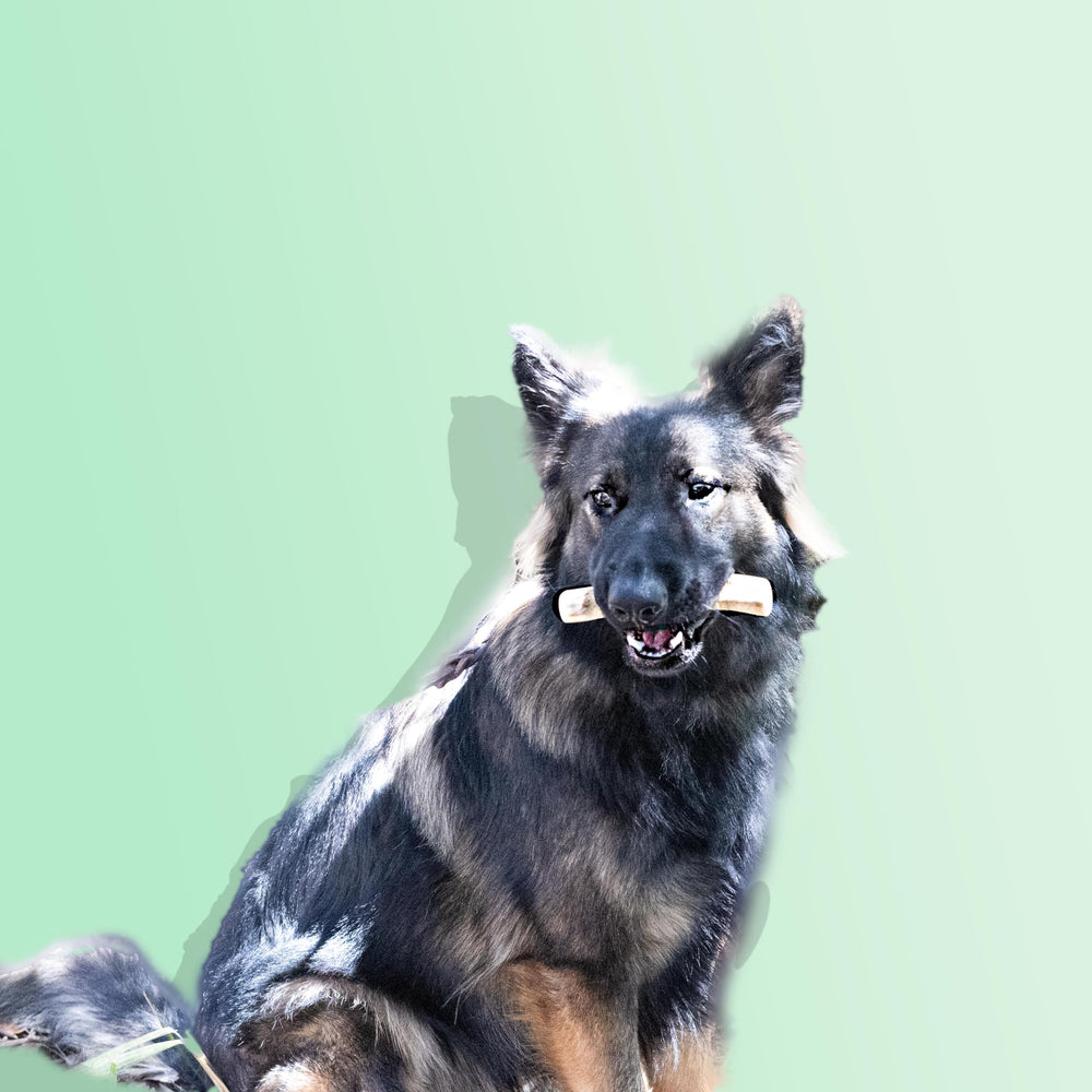 lemuria uso diario de madera para perro grande, mordedor duradero para masticación