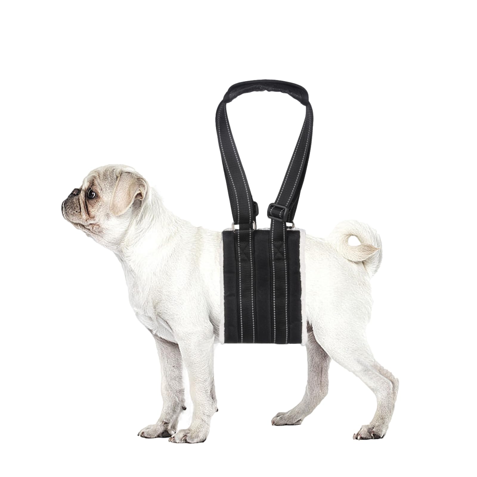 Lenpestia arnés elevación para perro, patas traseras, facilita levantarse y moverse con suavidad.