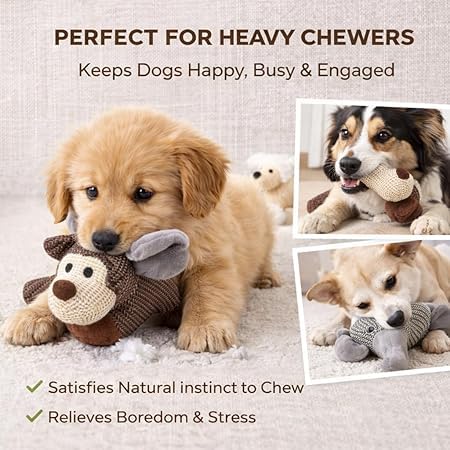 Leocfy perro con chirri: diversión duradera y estimulación segura.