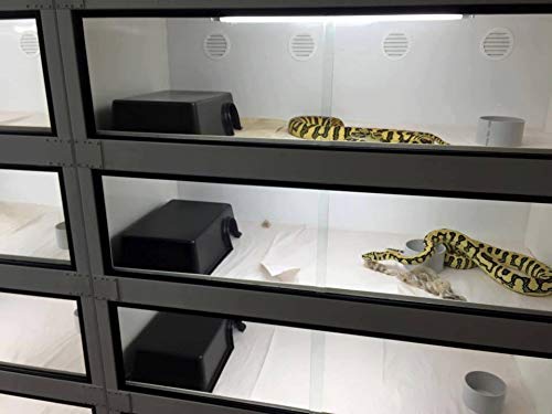 Leoterra Esconderijo Serpiente, bordes redondeados para evitar lesiones.